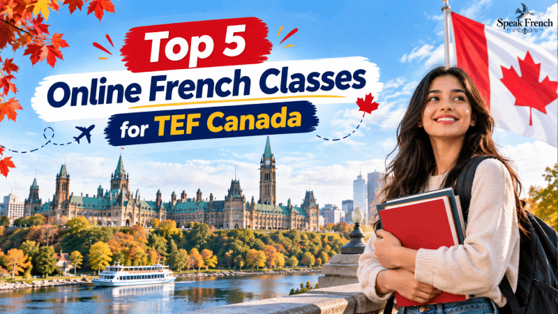 French Language Courses Explained - Levels, Benefits, and Career Opportunities